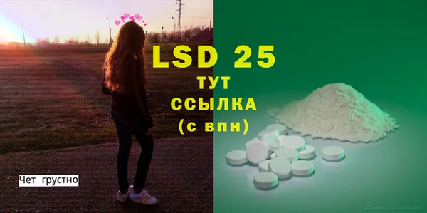 PSILOCYBIN Абаза