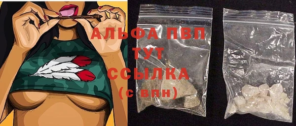 PSILOCYBIN Абаза