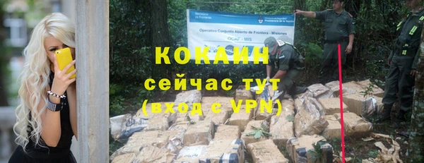 PSILOCYBIN Абаза