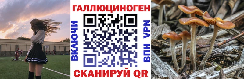 купить закладку  Вологда  OMG маркетплейс  Галлюциногенные грибы мухоморы 